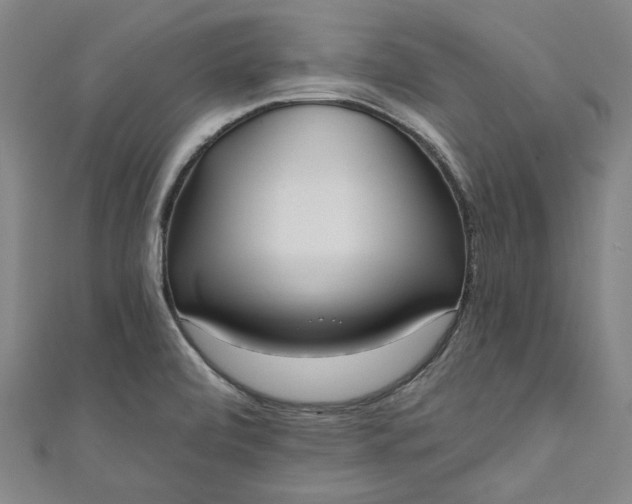 X0000111461472200907271241