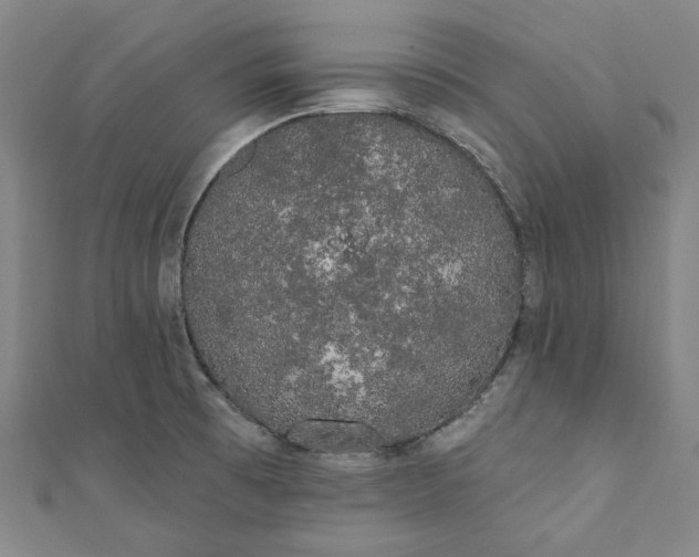 X0000111461473200907271241