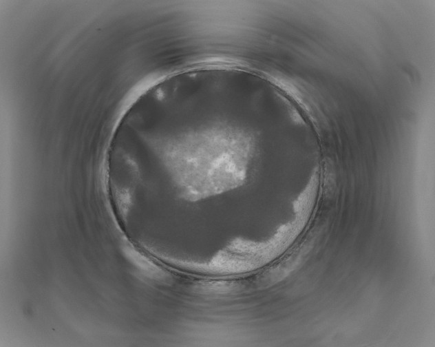 X0000111461474200907271241