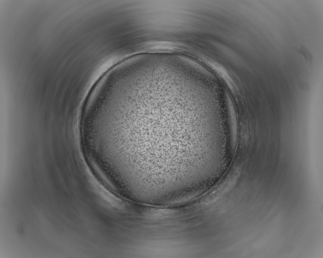 X0000111461475200907271241