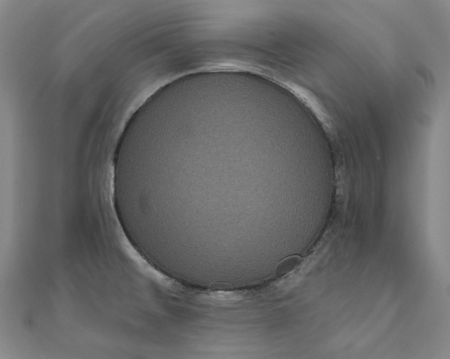 X0000111461476200907271241