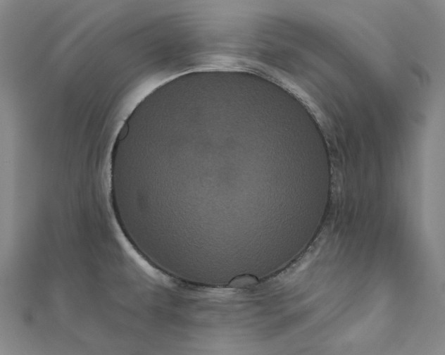 X0000111461479200907271241