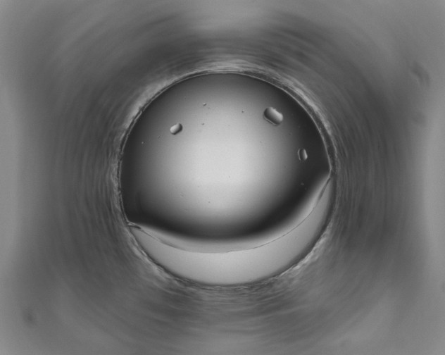 X0000111461481200907271241