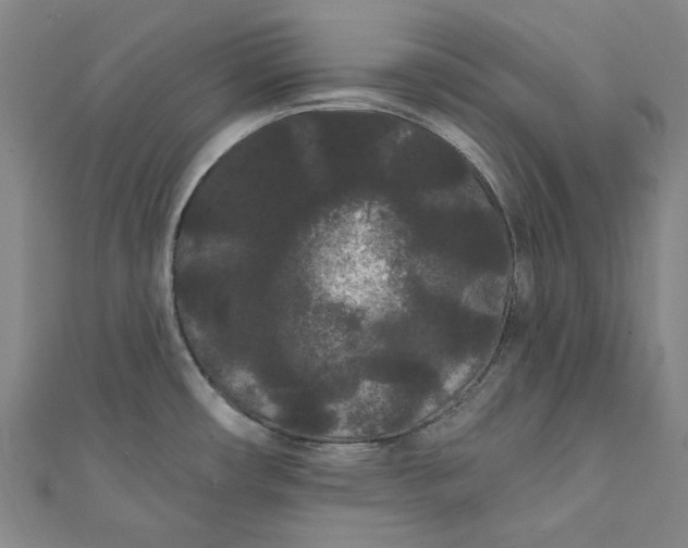 X0000111461482200907271241