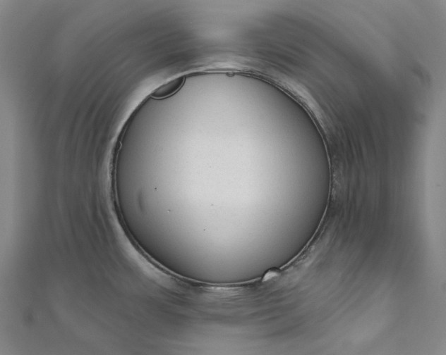 X0000111461483200907271241