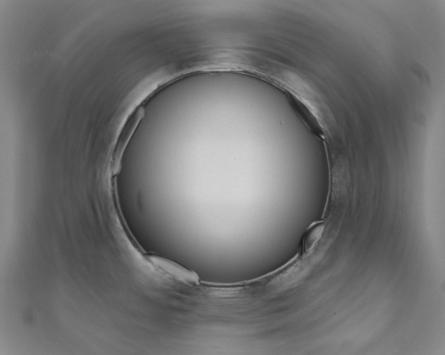 X0000111461484200907271241