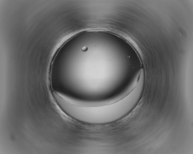 X0000111461485200907271241