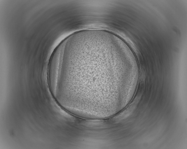 X0000111461486200907271241