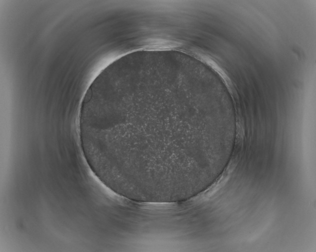 X0000111461487200907271241