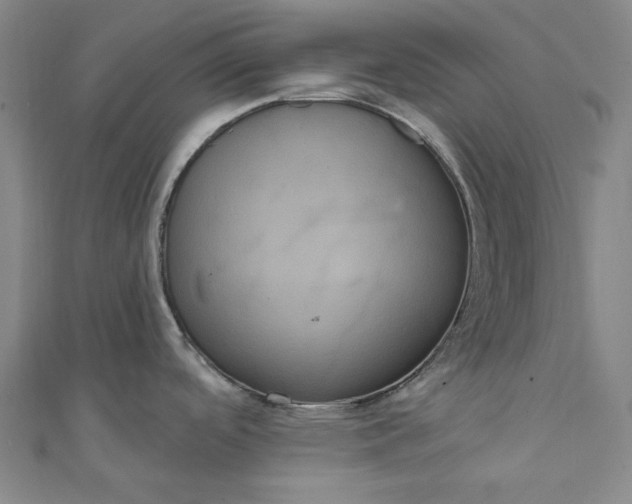 X0000111461488200907271241