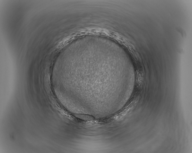 X0000111461489200907271240