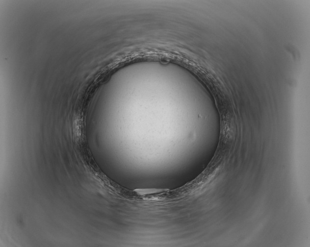 X0000111461490200907271240