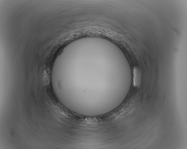 X0000111461491200907271240