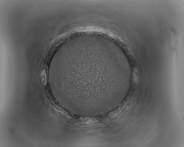 X0000111461493200907271240