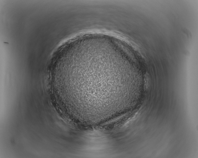 X0000111461494200907271240