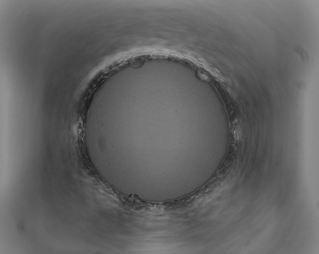 X0000111461495200907271240