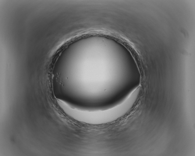 X0000111461496200907271240