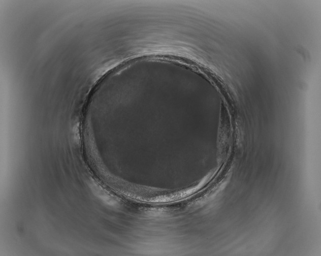 X0000111461497200907271240