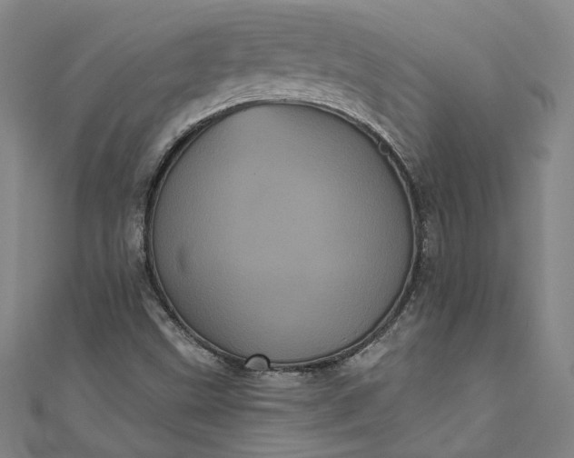 X0000111461499200907271240