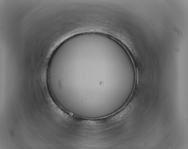 X0000111461500200907271240