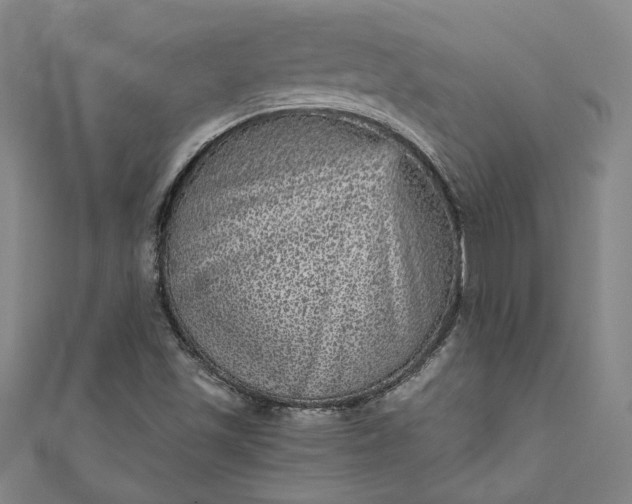 X0000111461501200907271240