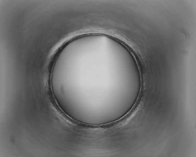 X0000111461502200907271240