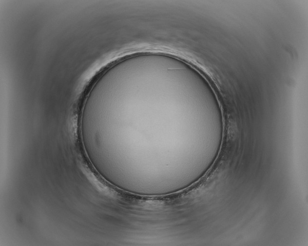 X0000111461503200907271240