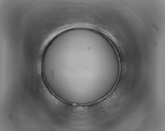 X0000111461504200907271240