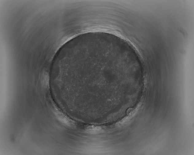 X0000111461505200907271240