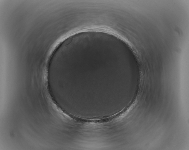 X0000111461506200907271240