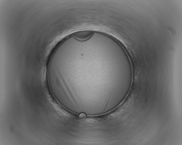 X0000111461507200907271240