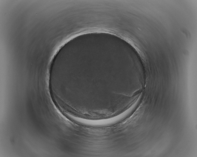 X0000111461508200907271240