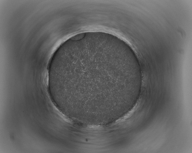 X0000111461509200907271240