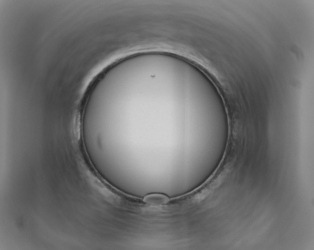 X0000111461510200907271240