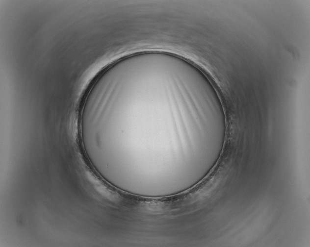 X0000111461511200907271240