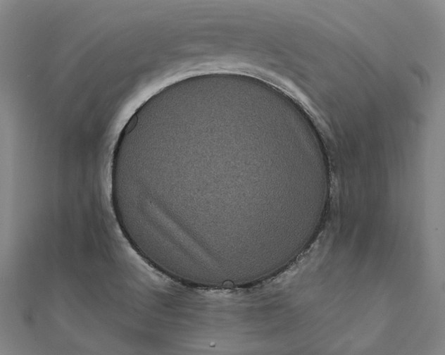 X0000111461512200907271240