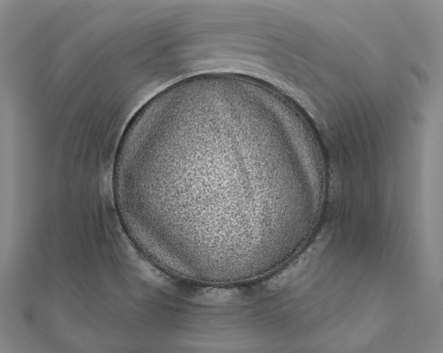 X0000111461513200907271240