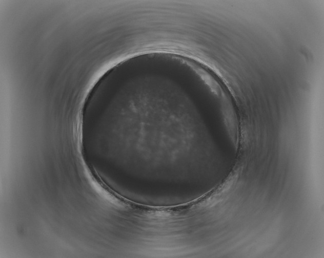 X0000111461515200907271241