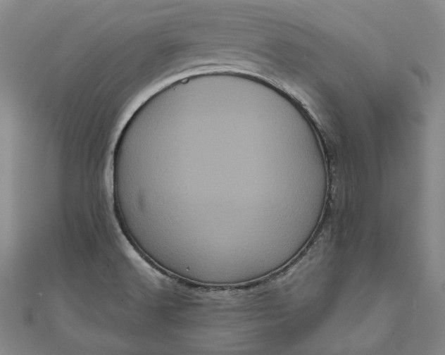 X0000111461516200907271241