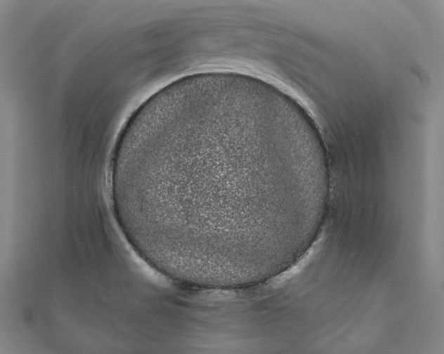 X0000111461517200907271241