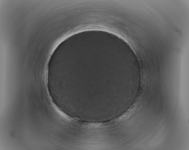 X0000111461519200907271241