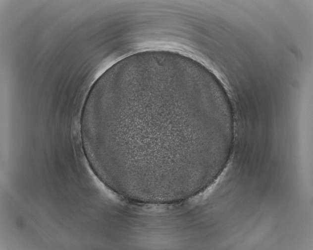 X0000111461521200907271241