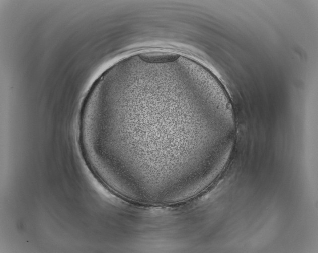 X0000111461523200907271241