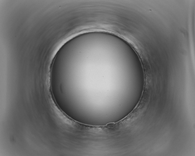 X0000111461524200907271241