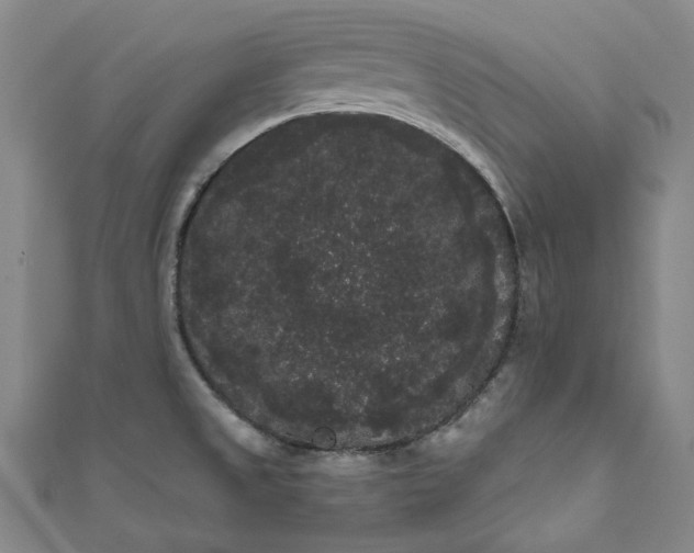 X0000111461525200907271241