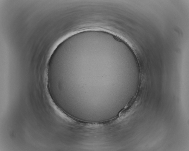 X0000111461526200907271241