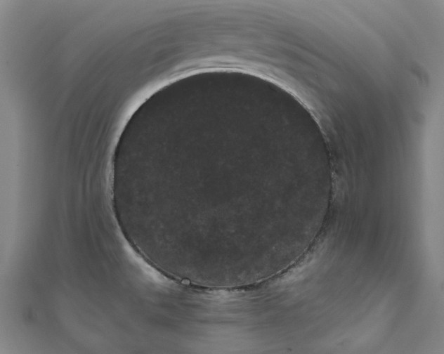 X0000111461527200907271241