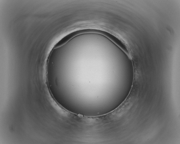 X0000111461528200907271241