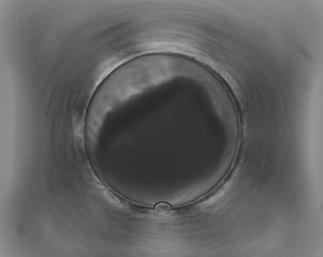 X0000111461529200907271241