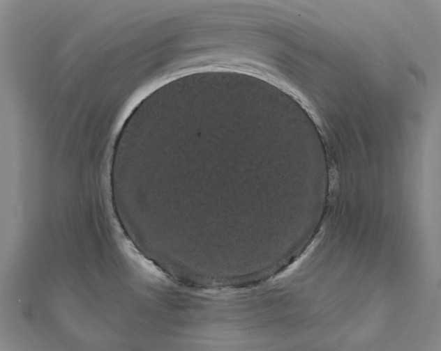 X0000111461530200907271241